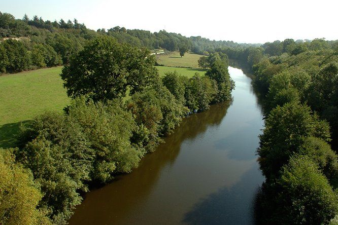 Loire bordée de verdure