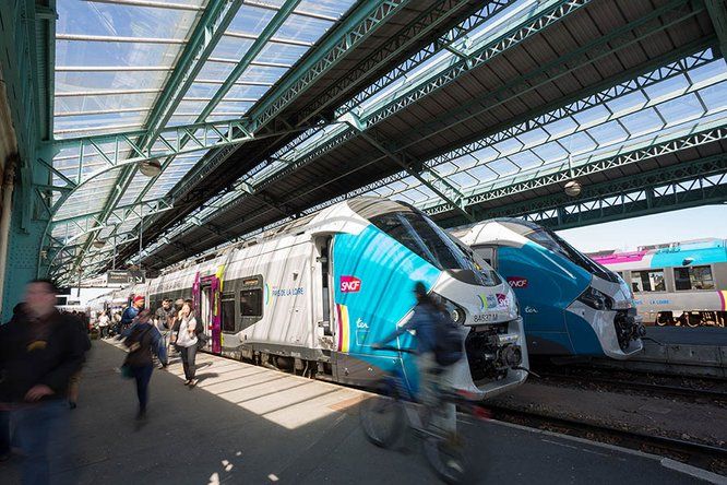 plusieurs train ter en gare avec voyageurs sur le quai