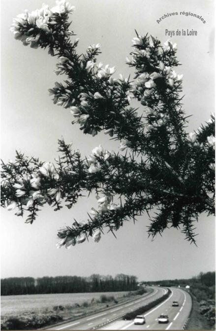 ©Archives régionales Pays de la Loire